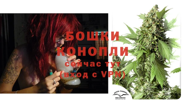 первитин Белокуриха