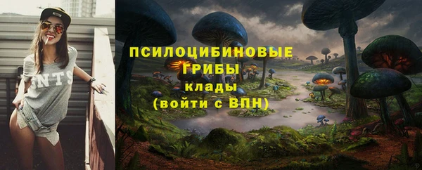 прущая мука Белоозёрский