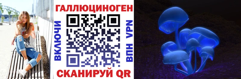 блэк спрут как войти  Полесск  Галлюциногенные грибы Psilocybine cubensis 