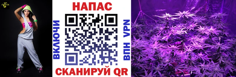 хочу наркоту  Полесск  Шишки марихуана VHQ 
